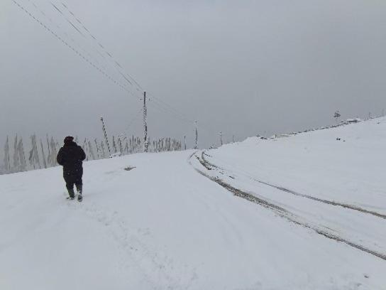 Tseten'S Inn Lachung Zewnętrze zdjęcie